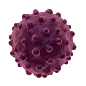 Вирус гепатита А – суммарные антитела к HAV