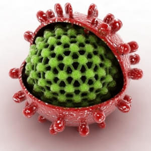 Вірус гепатиту В – антиген HBcAg, сумарні антитіла