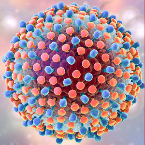 Вірус гепатиту В – антиген HbeAg