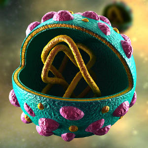 Вірус гепатиту С – антитіла сумарні до HСV
