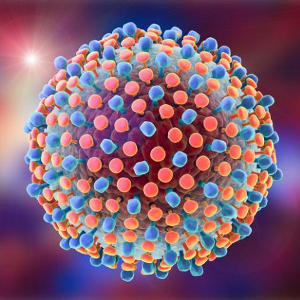 Вірус гепатиту С (HCV) – антитіла lgM