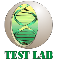 Лабораторія Тest Lab