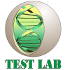 Лаборатория Тest Lab